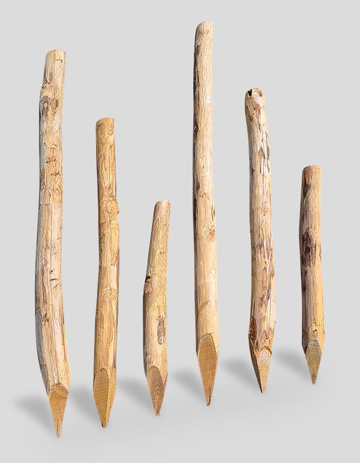 Robinia palen, rond, geschild, bovenaan recht