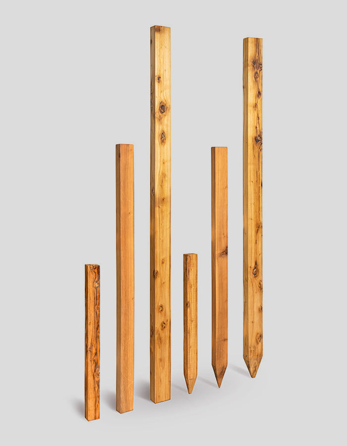 Rechthoekige palen met rechte rand, bovenaan recht, ruw gezaagd, van robiniahout