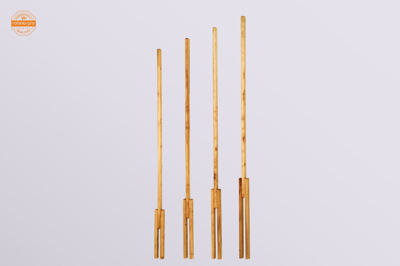 robinia-pro Piquet de treillis pour vigne / arbres fruitiers