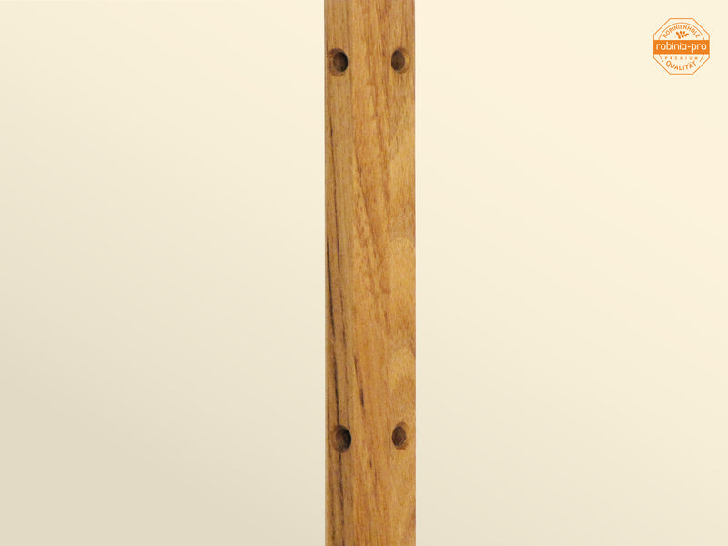 robinia-pro PLANTENSTOK van hout