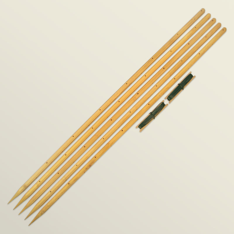 robinia-pro KLIMREK voor frambozen