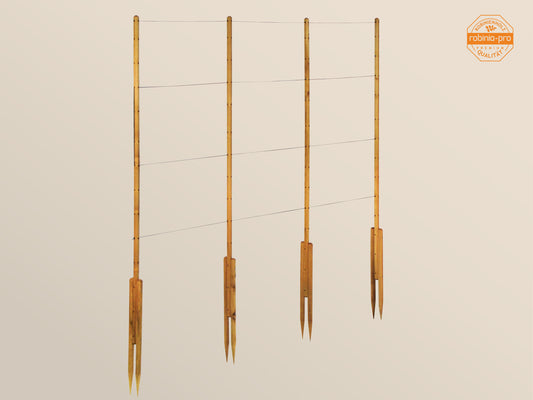 robinia-pro KLIMREK voor frambozen