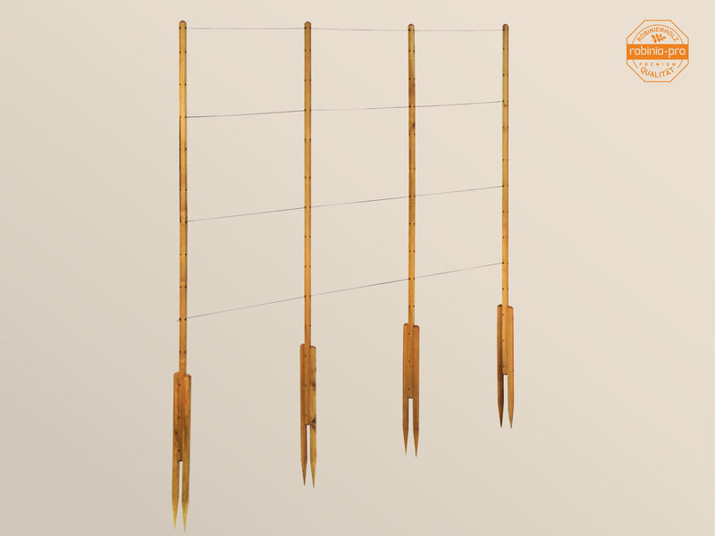 robinia-pro KLIMREK voor frambozen