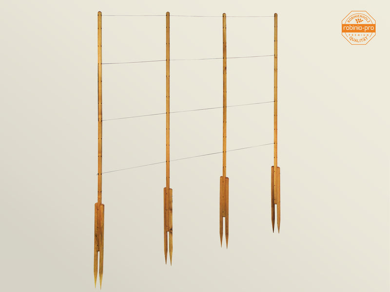 robinia-pro KLIMREK voor bonen