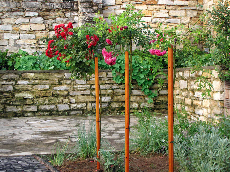 robinia-pro KLIMHULPSET
