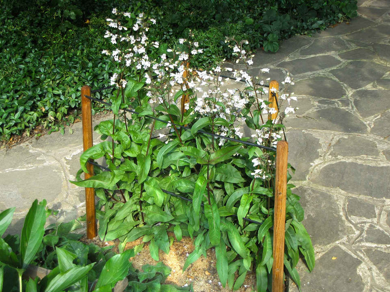 robinia-pro KLIMHULPSET